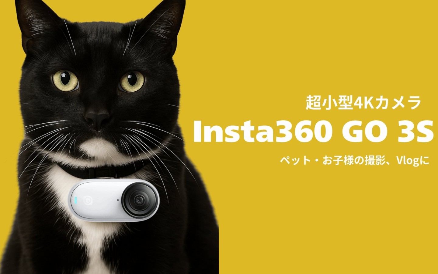 流行りのInsta360 GO 3Sを3泊4日6,600円～でレンタル！超小型4Kカメラで、旅行・ペット視点・子どもの成長を手ブレなく記録しよう！