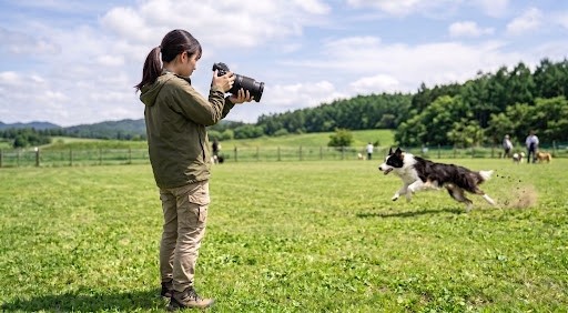 SONY α7 III + FE70-300mm (SEL70300G) スポーツ撮影セット