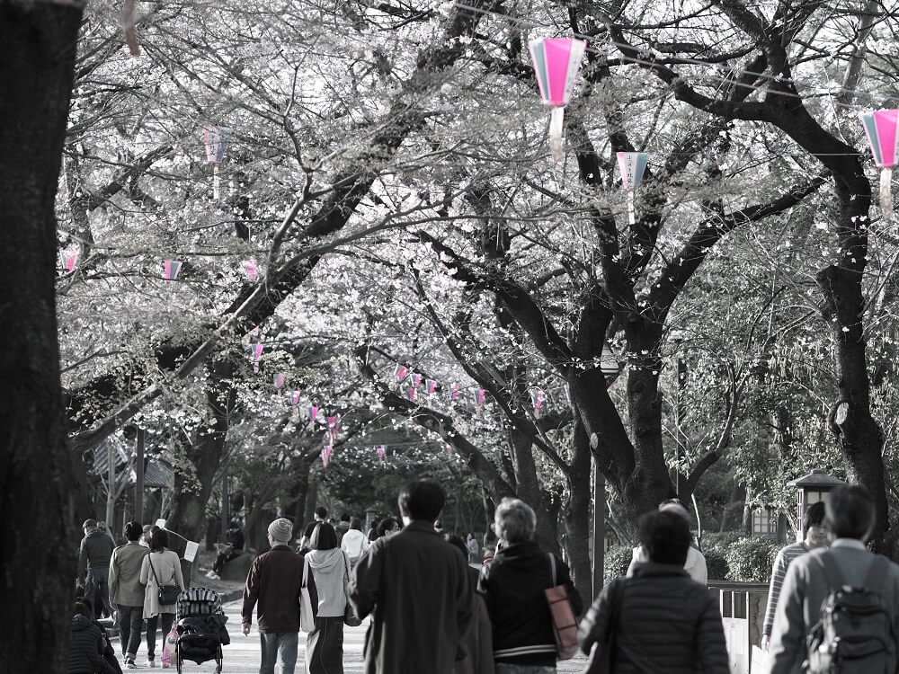 飛鳥山の花見客