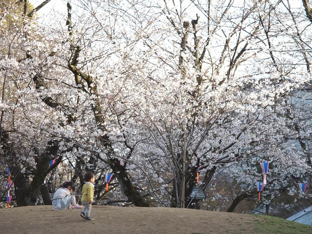 飛鳥山の子供たち