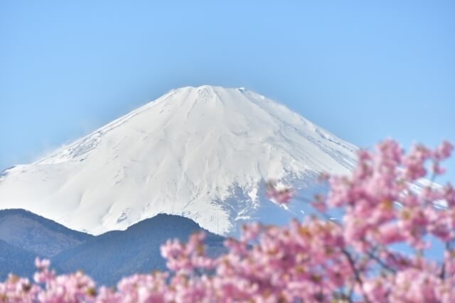 富士山と桜