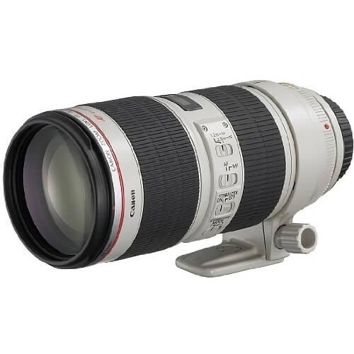 Canon（キヤノン）EF 70-200mm F2.8L IS II USM 望遠ズーム