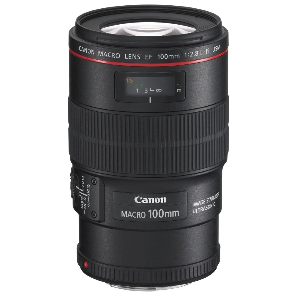 Canon(キヤノン)EF100mm F2.8L マクロ IS USM 単焦点レンズ Canon(キヤノン)EF100mm F2.8L マクロ IS USM 単焦点レンズ
