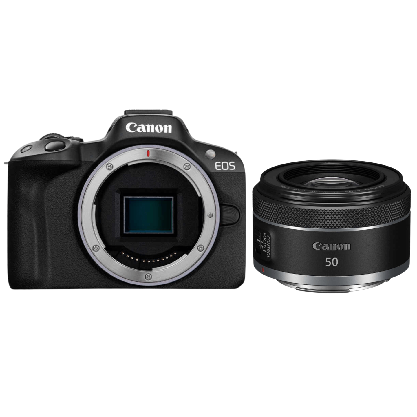 Canon（キヤノン）EOS R50+ RF 50mm F1.8 STM【初心者ポートレート撮影