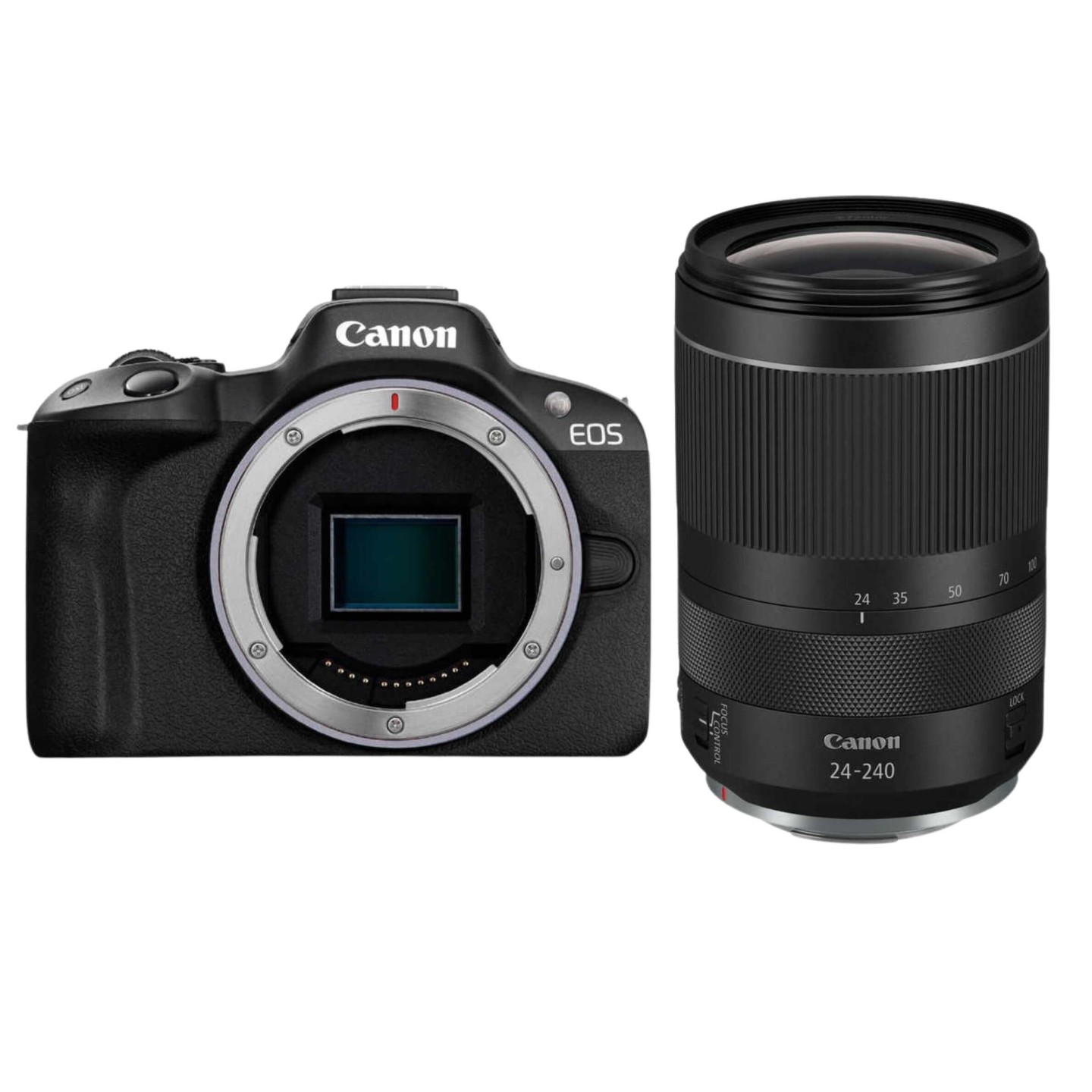 Canon（キヤノン）EOS R50 + RF24-240mm【近くも遠くも撮影セット