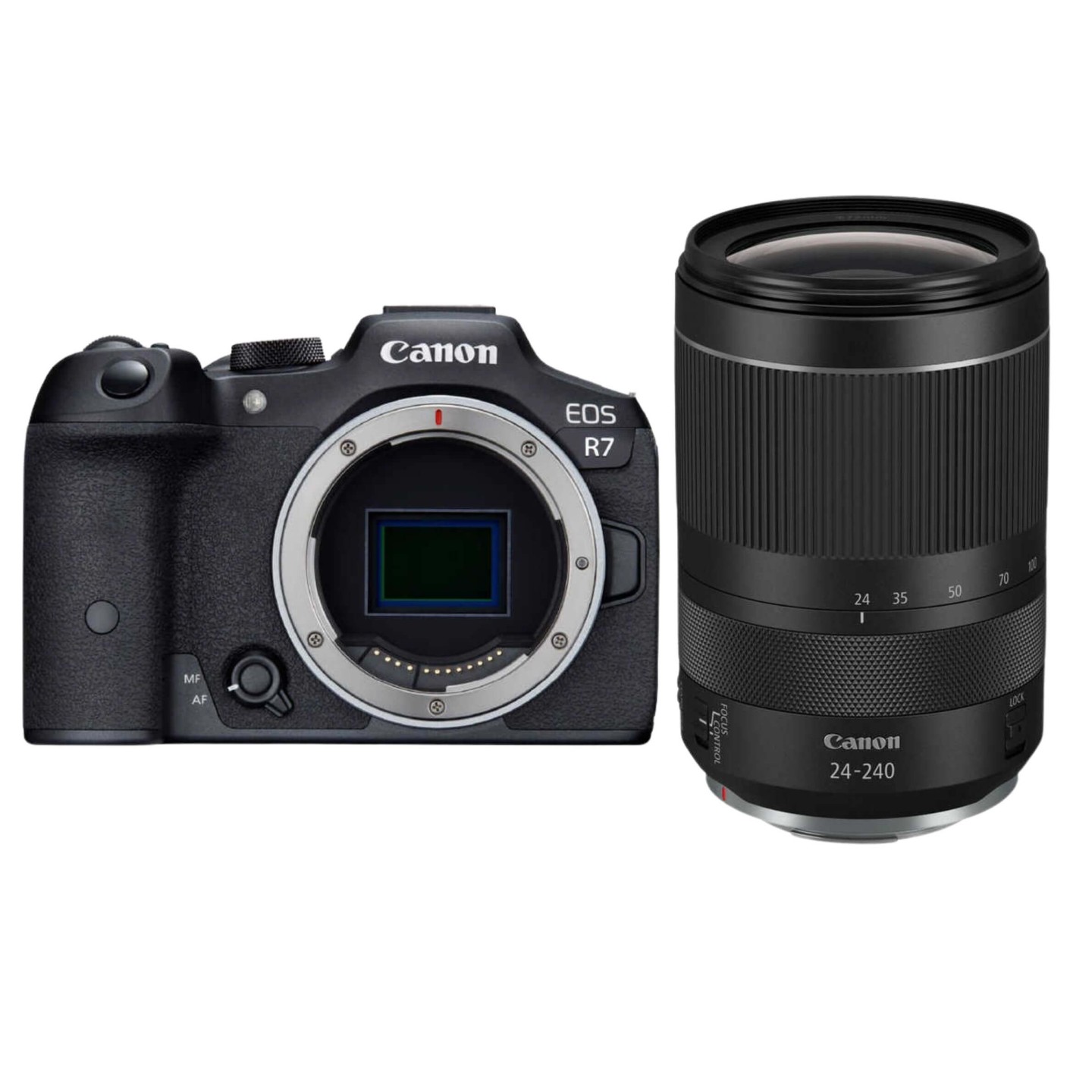 Canon（キヤノン）EOS R7 + RF24-240mm【近くも遠くも撮影セット