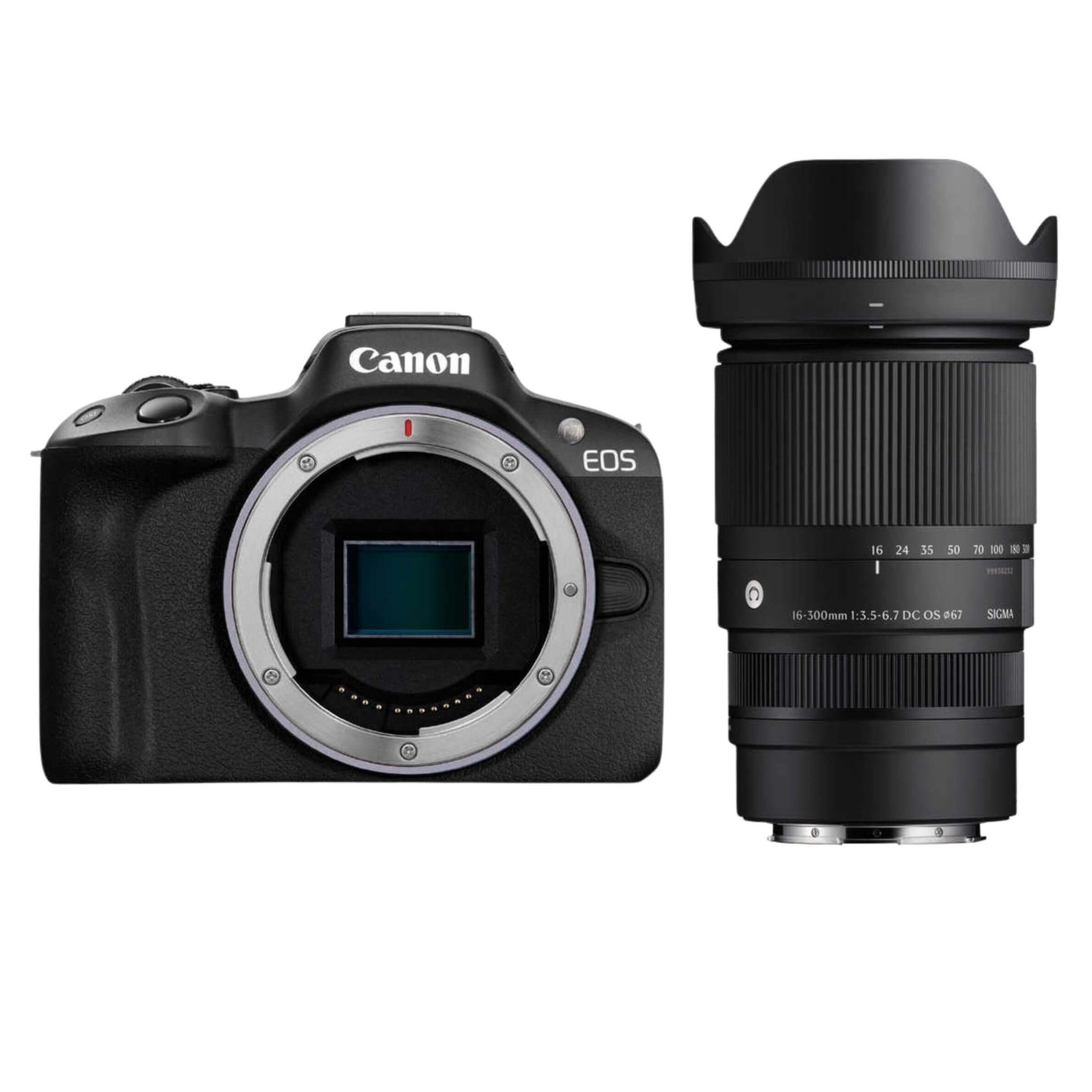 Canon（キヤノン）EOS R50 + SIGMA 16-300mm 【近くも遠くも撮影セット