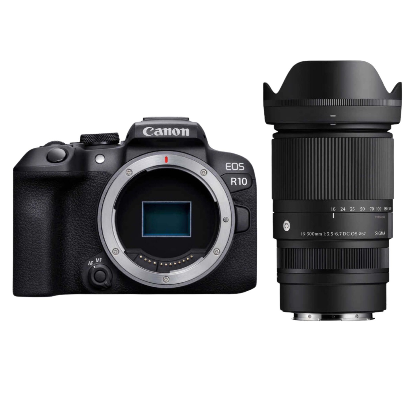 Canon（キヤノン）EOS R10 + SIGMA 16-300mm 【近くも遠くも撮影セット