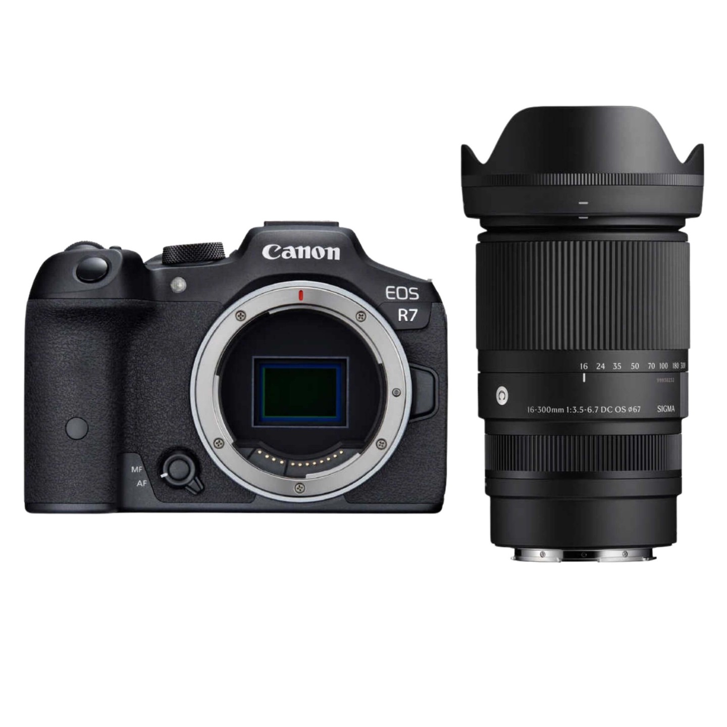 Canon（キヤノン）EOS R7 + SIGMA 16-300mm 【近くも遠くも撮影セット