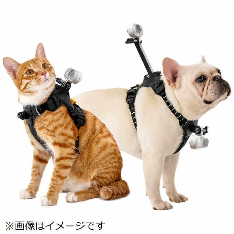 INSTA360 GO 3S 128GB トラベルキット+ペットハーネスマウントセット