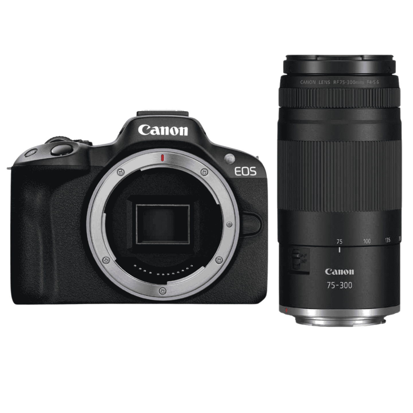 Canon（キヤノン）EOS R50 + RF75-300mm 【スポーツ撮影セット