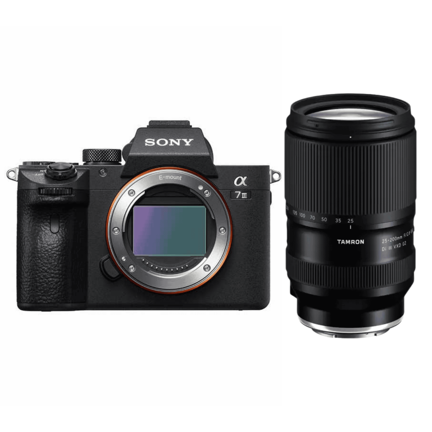 SONY（ソニー）α7 III + TAMRON 25-200mm F/2.8-5.6 【近くも遠くも