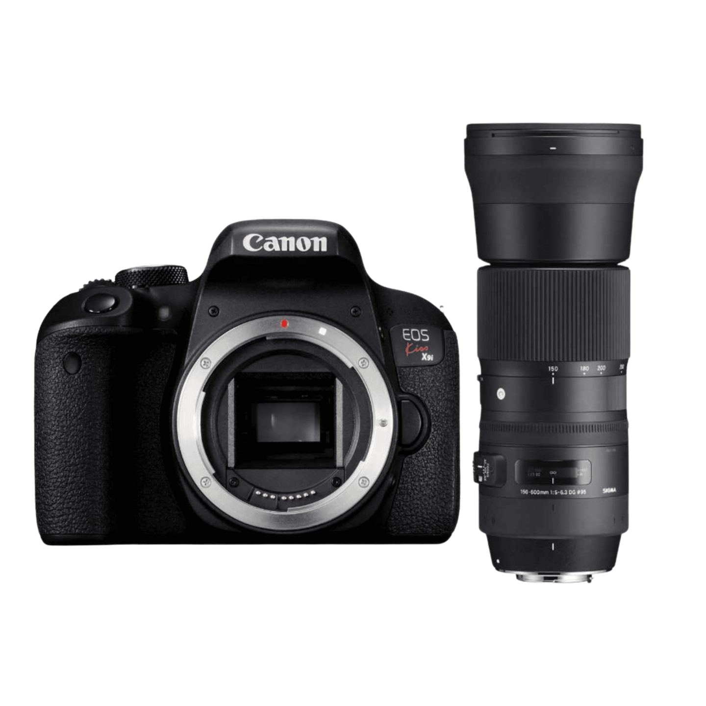 Canon（キヤノン）EOS Kiss X9i + SIGMA 150-600mm 【スポーツ撮影