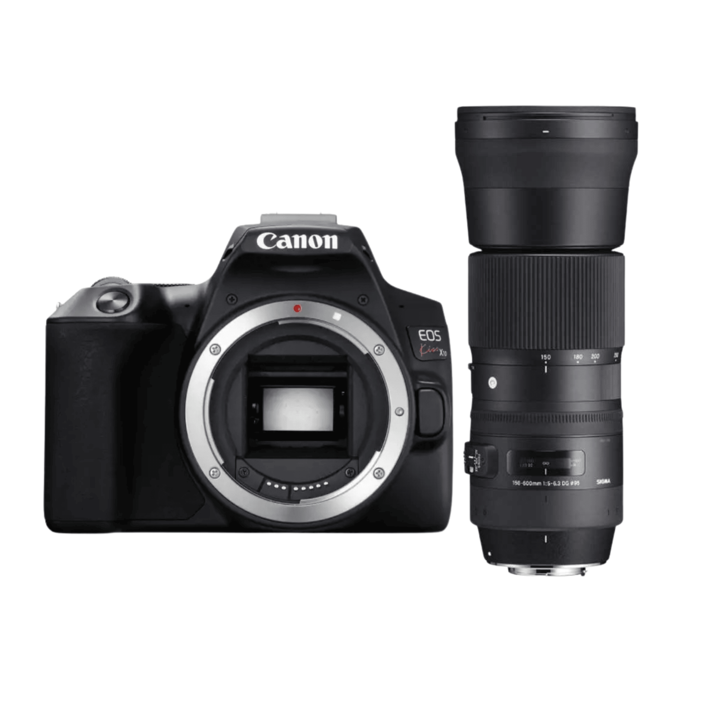 Canon（キヤノン）EOS Kiss X10 + SIGMA 150-600mm 【スポーツ撮影