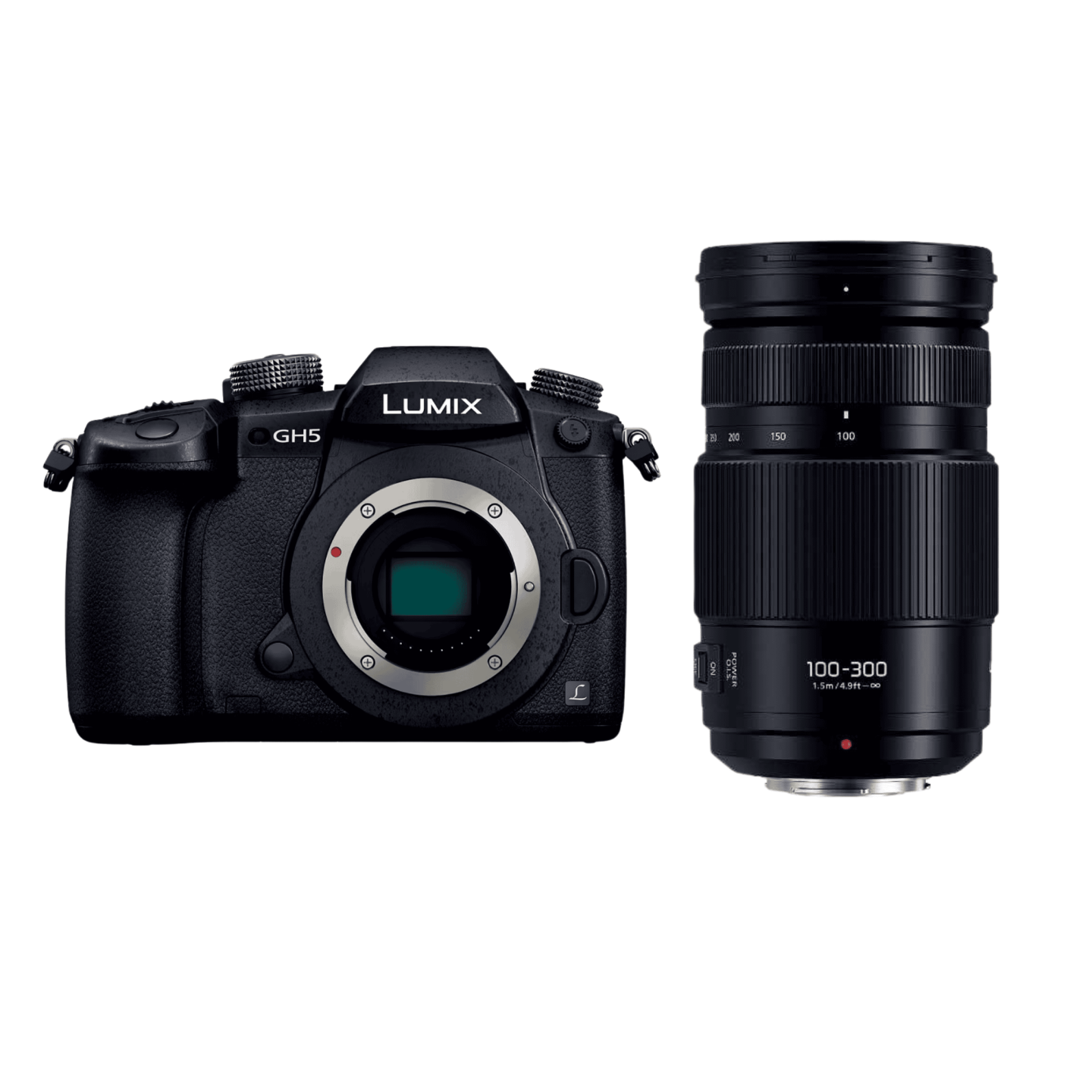 Panasonic（パナソニック）LUMIX GH5 + G VARIO 100-300mm【スポーツ 