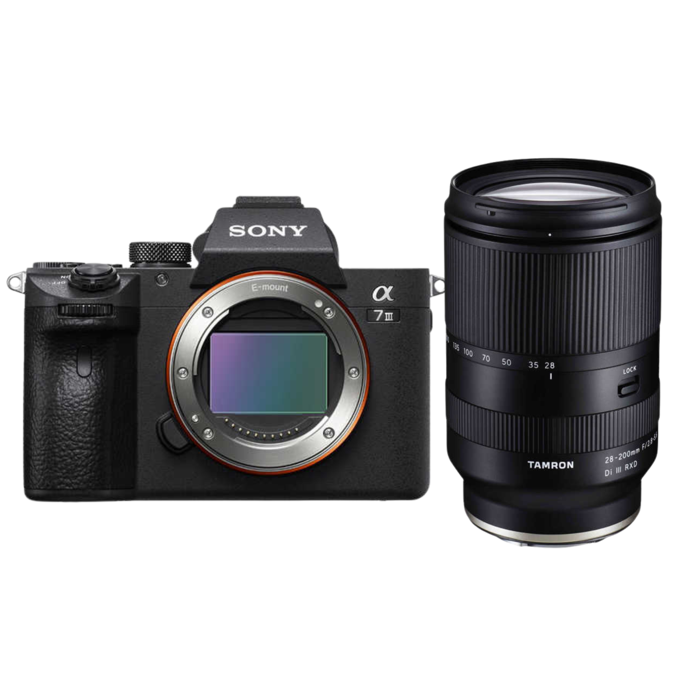 SONY(ソニー)α7 III + Tamron 28-200mm F/2.8-5.6 【近くも遠くも SONY(ソニー)α7 III + Tamron 28-200mm F/2.8-5.6 【近くも遠くも