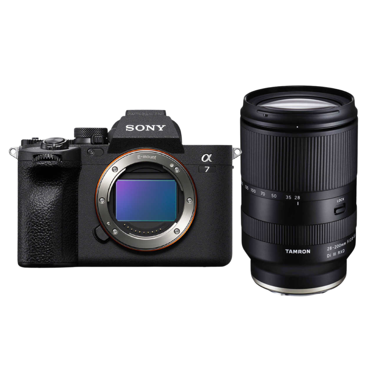 SONY（ソニー）α7 Ⅳ + Tamron 28-200mm F/2.8-5.6 【近くも遠くも撮影