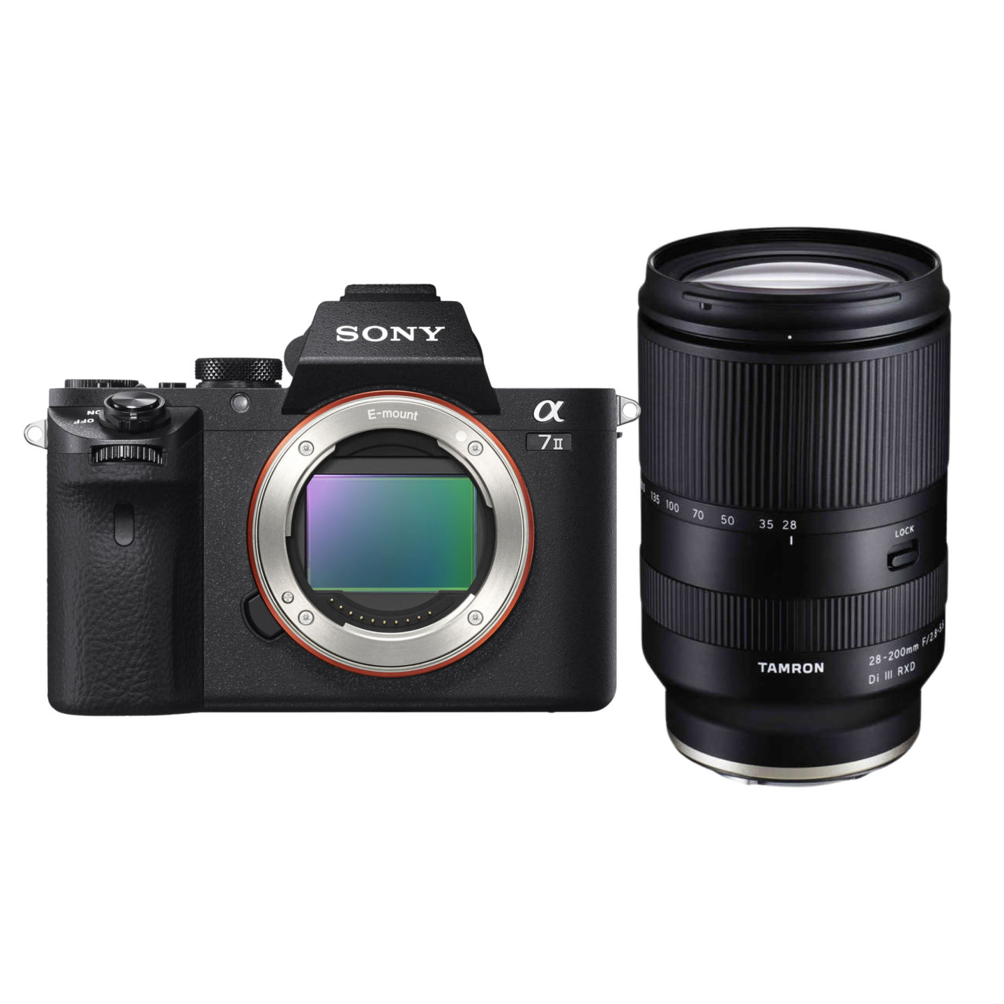 SONY（ソニー）α7 Ⅱ + Tamron 28-200mm F/2.8-5.6 【近くも遠くも撮影