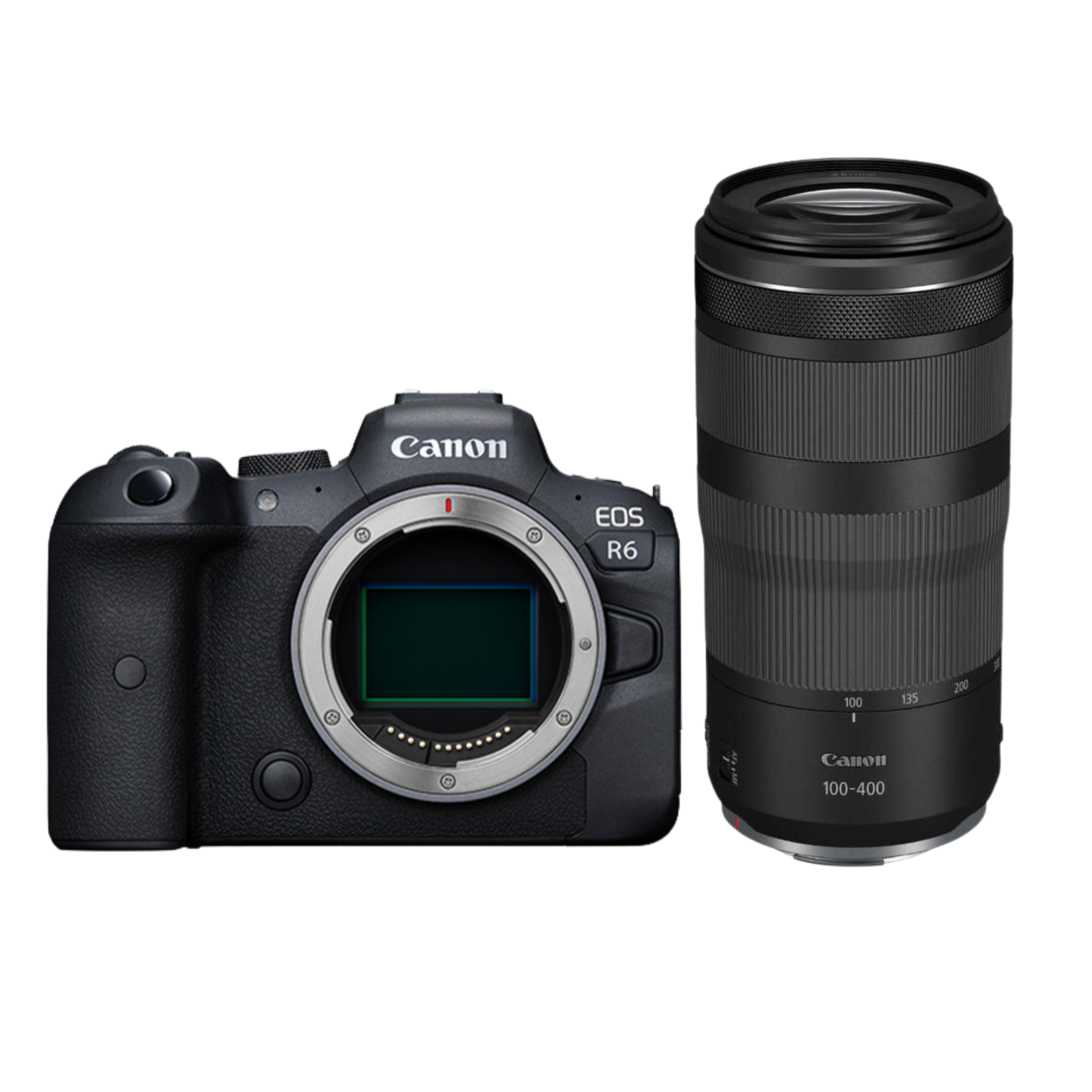 Canon（キヤノン）EOS R6 + RF100-400mm 【スポーツ撮影セット