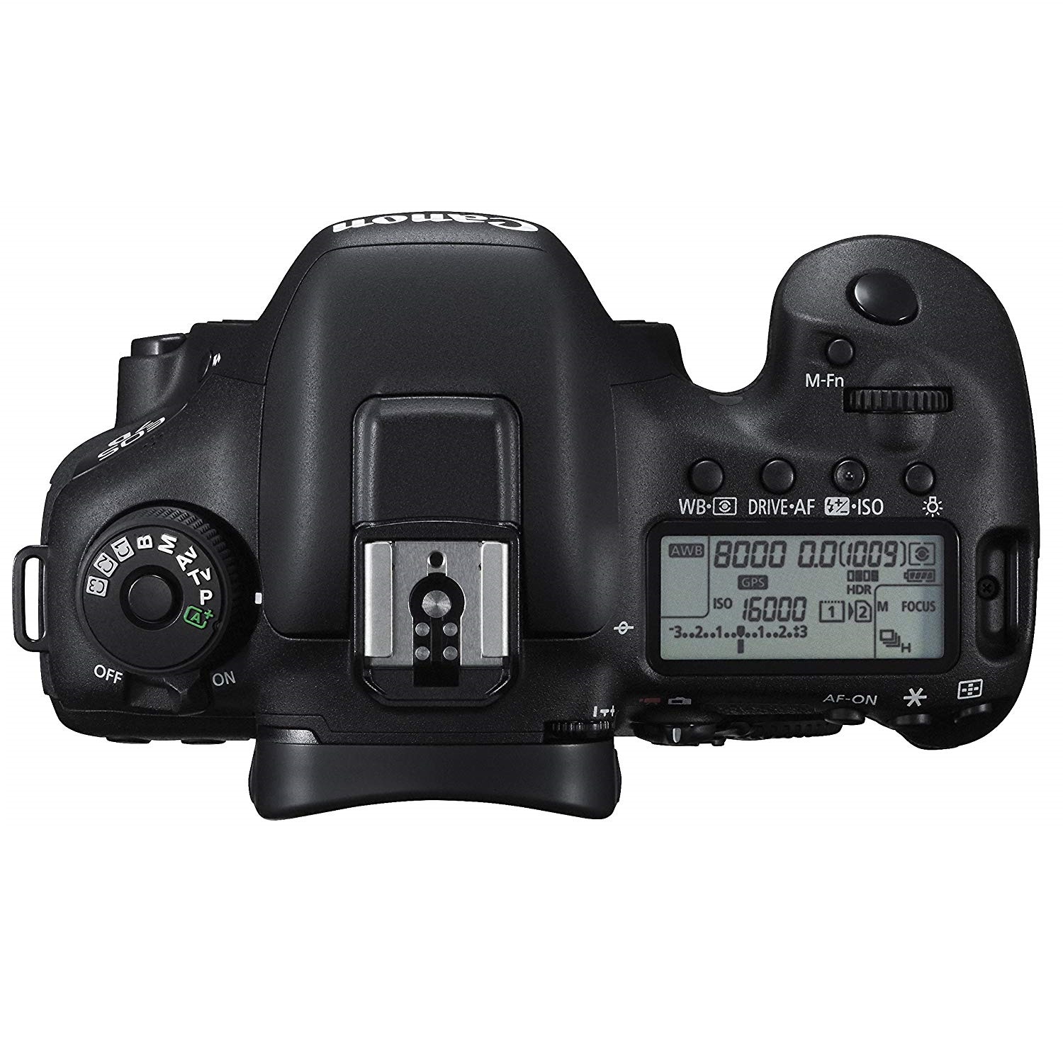 カメラ デジタルカメラ CANON EOS 7D mark II ボディ 一眼レフ | カメラのレンタルなら 