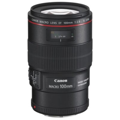 実写レビュー】Canon EF100mm F2.8L マクロ IS USM | カメラのレンタル ...
